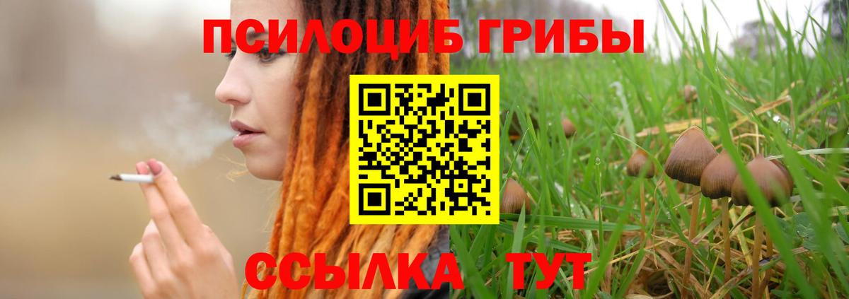 как найти   Вход с VPN  Каменка  Псилоцибиновые грибы прущие грибы  Галлюциногенные грибы GOLDEN TEACHER 